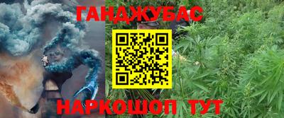 мдпв Гусев