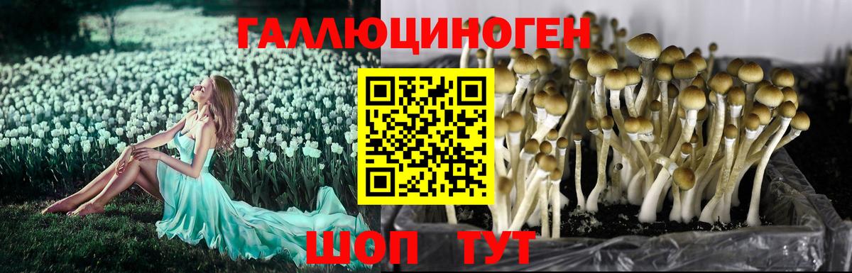 Галлюциногенные грибы MAGIC MUSHROOMS Семёнов